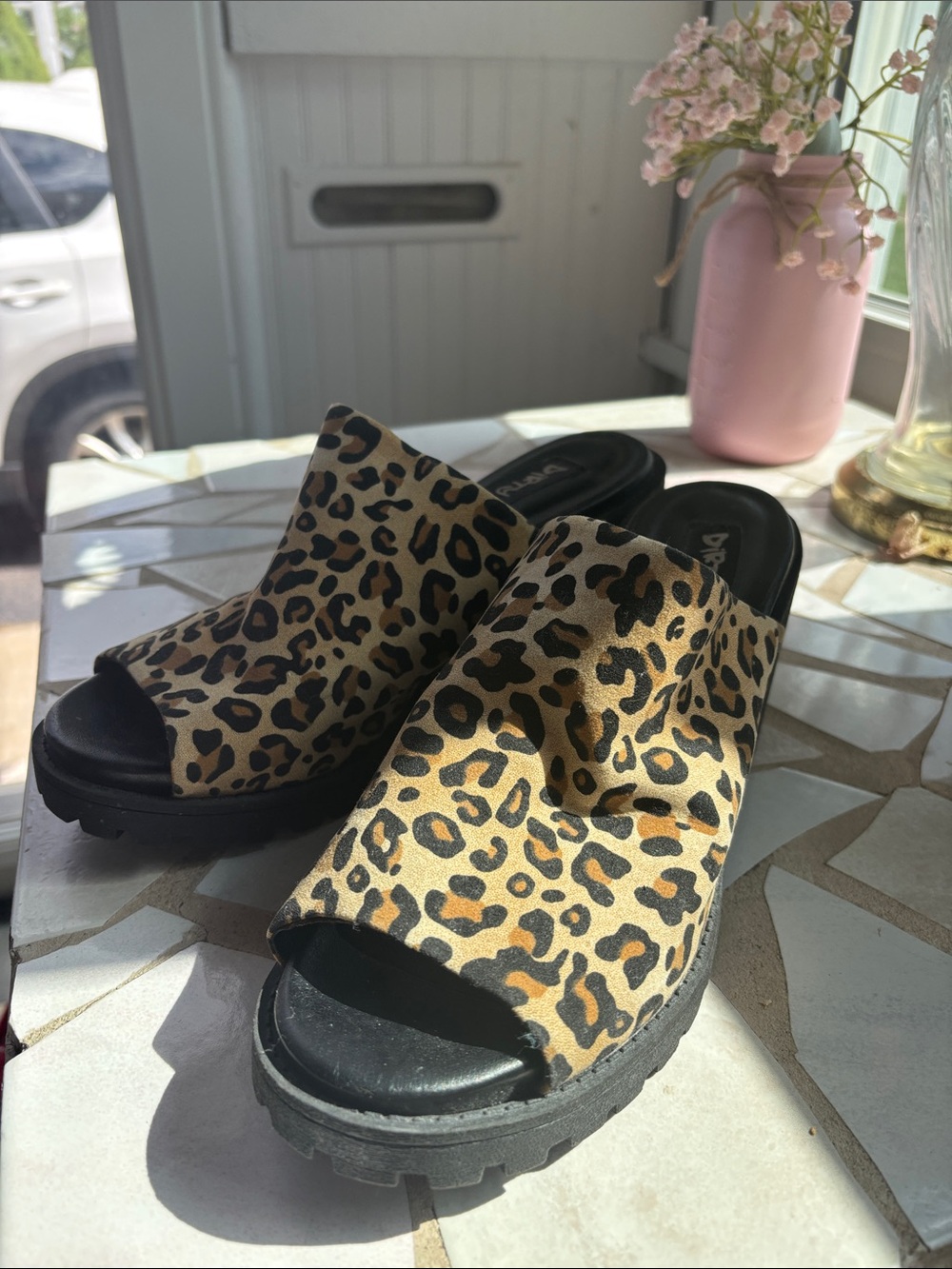 Dirty Laundry Leopard Print Slide Mules - Black & Tan
